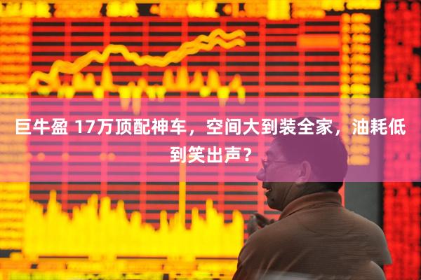 巨牛盈 17万顶配神车，空间大到装全家，油耗低到笑出声？