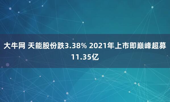 大牛网 天能股份跌3.38% 2021年上市即巅峰超募11.35亿