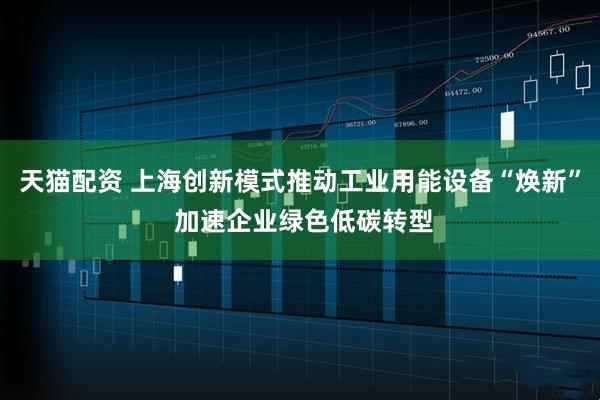 天猫配资 上海创新模式推动工业用能设备“焕新” 加速企业绿色低碳转型