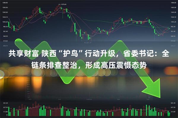 共享财富 陕西“护鸟”行动升级，省委书记：全链条排查整治，形成高压震慑态势