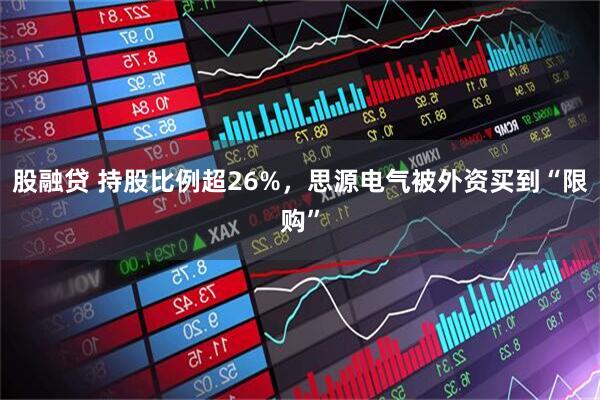 股融贷 持股比例超26%，思源电气被外资买到“限购”