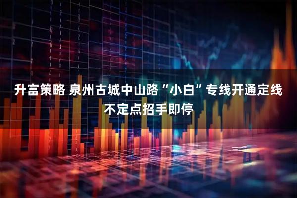 升富策略 泉州古城中山路“小白”专线开通定线不定点招手即停