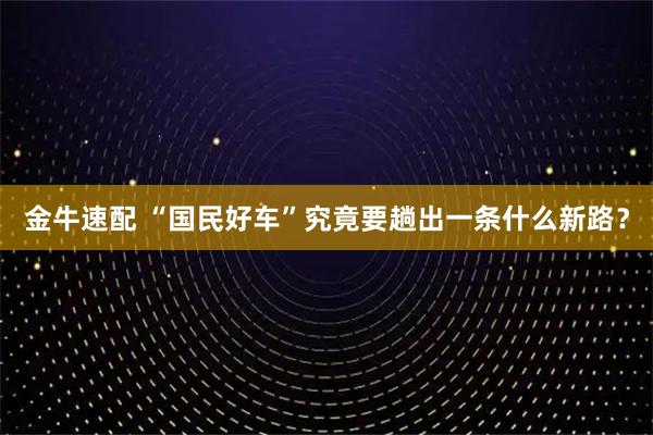 金牛速配 “国民好车”究竟要趟出一条什么新路？